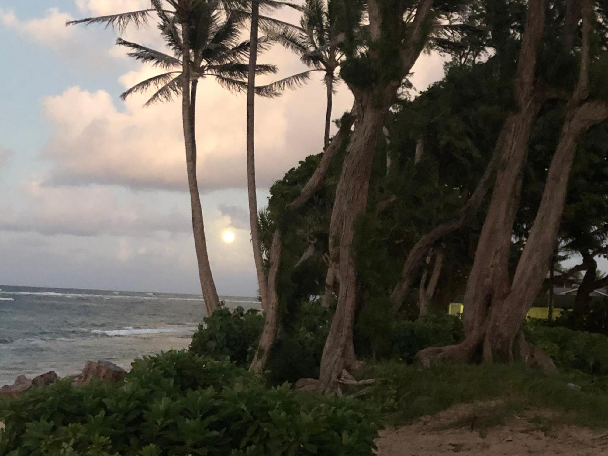 ライエ Tropical Treasure On A White Sandy Beachヴィラ エクステリア 写真